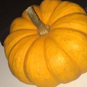 Meet your Posher, Jack