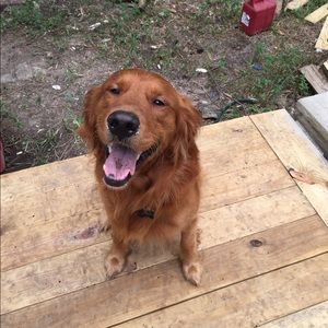 Meet your Posher, Leigh