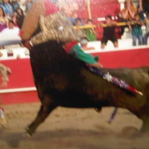 Meet your Posher, Fernando