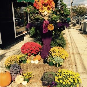 Meet your Posher, Carol