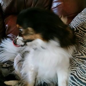 Meet your Posher, Linda