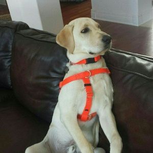 Meet your Posher, Melissa