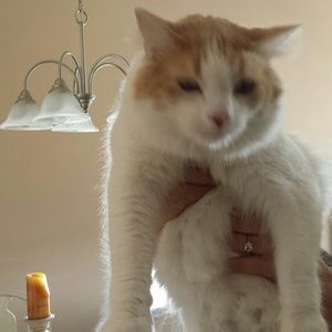 Meet your Posher, Tabitha