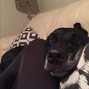 Meet your Posher, Marissa