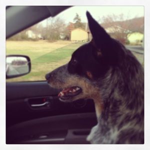 Meet your Posher, Christy