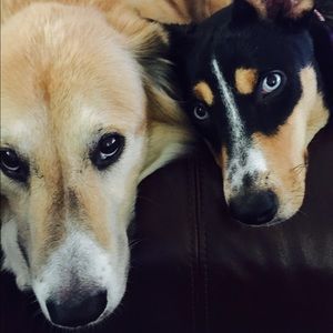 Meet your Posher, Julia