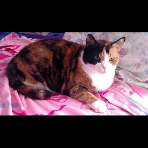 Meet your Posher, Jilian