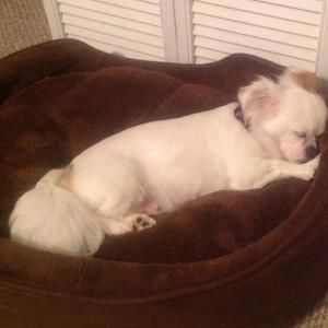 Meet your Posher, Tabatha