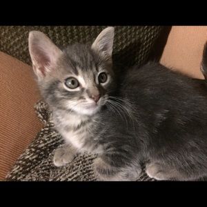 Meet your Posher, Viri