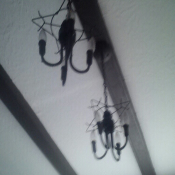 Meet your Posher, Melea - Picture 1 of 1