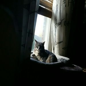 Meet your Posher, Maureen