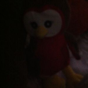 Meet your Posher, Dee