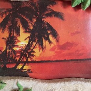 Meet your Posher, Ana