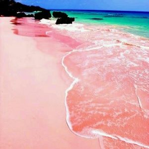 Meet your Posher, Dena