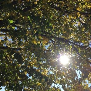 Meet your Posher, Candance