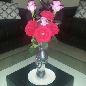 Meet your Posher, Rosa