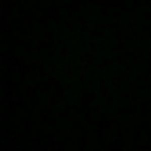 Meet your Posher, Kaiwon