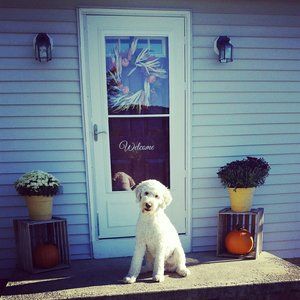 Meet your Posher, Lynsi