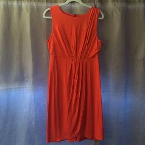 Coral Fun in the Sun!