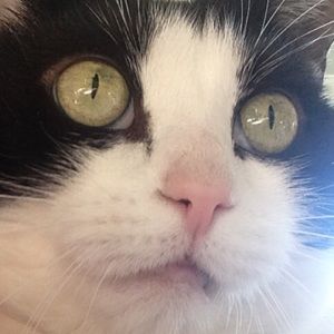 Meet your Posher, Hayley