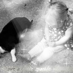 Meet your Posher, Shelly