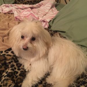 Meet your Posher, Sherry