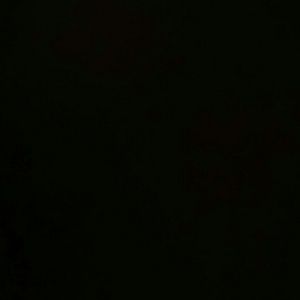 Meet your Posher, Lonzetta