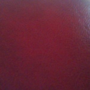 Meet your Posher, Deanna