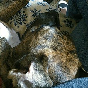 Meet your Posher, Tonya