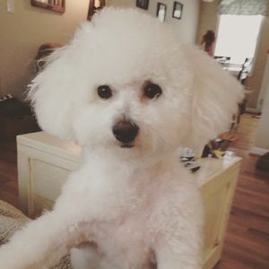 Meet your Posher, Heather