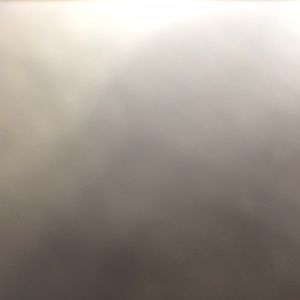 Meet your Posher, Bianca