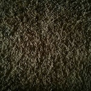 Meet your Posher, Shawna