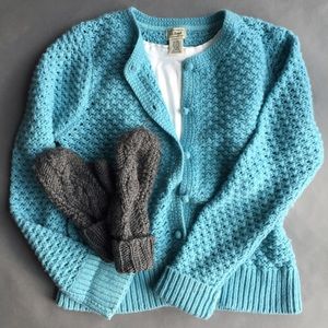 LL Bean Wool Sweater