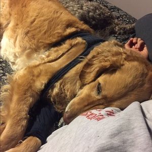 Meet your Posher, Ellen