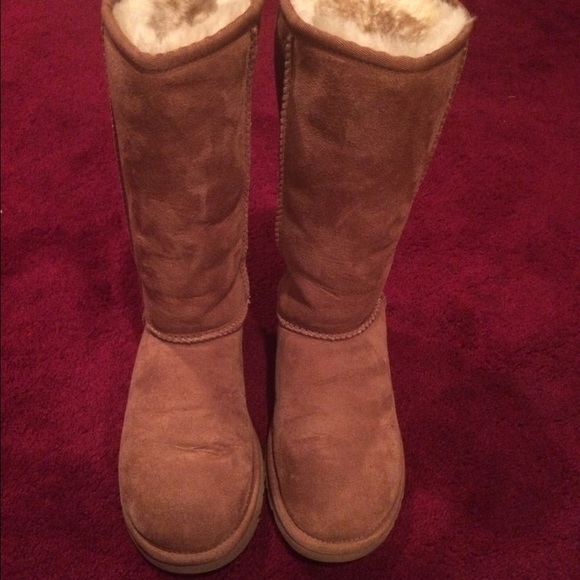 UGG Shoes - Tall chestnut ugg boots.