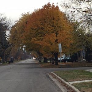 Meet your Posher, Deann