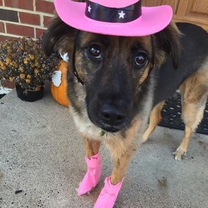 Meet your Posher, Kim