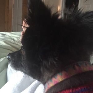 Meet your Posher, Trish