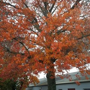 Meet your Posher, Sue