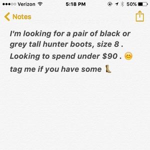 I'm just looking for hunter boots