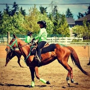 Meet your Posher, Anna