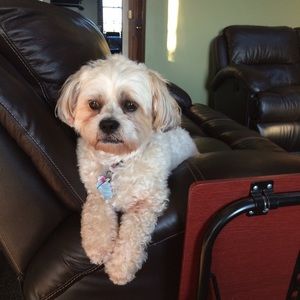 Meet your Posher, Kim