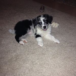 Meet your Posher, Tammy