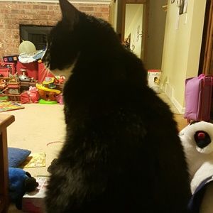 Meet your Posher, Paula