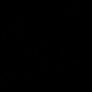 Meet your Posher, Maurya