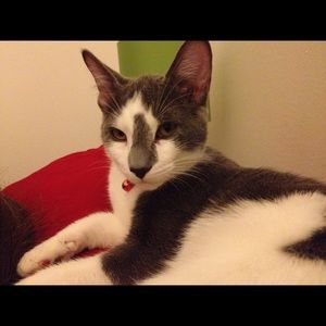 Meet your Posher, Erica