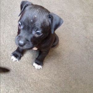 Meet your Posher, Nelly