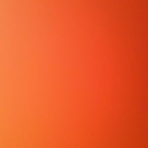 Meet your Posher, Karina