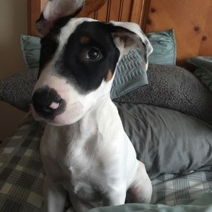 Meet your Posher, Sean