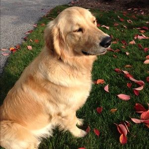 Meet your Posher, Mia